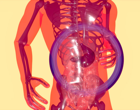 The Connection Between Gut Health and Vitamin Absorption