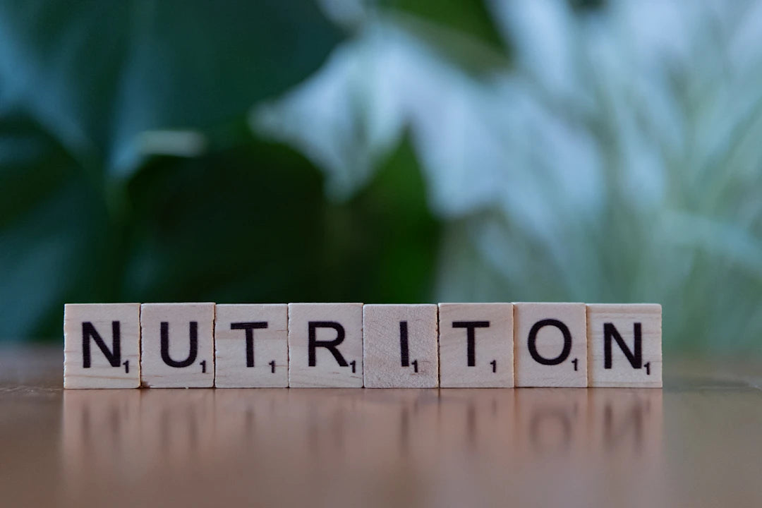 The Impact of Nutrition on Mental Health