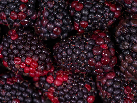 The Importance of Antioxidants and Their Sources