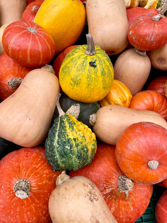 How Seasonal Changes Shape Our Nutritional Needs