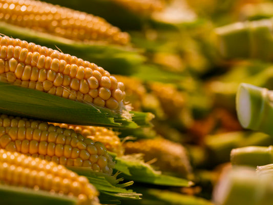 Unlocking Nature’s Bounty The Top Natural Sources of Essential Vitamins