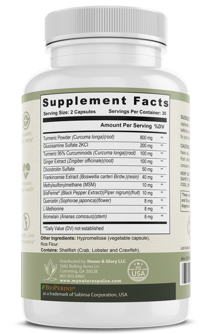 Nature's Pulse Organic Platinum Turmeric w/ BioPerine and Ginger - Nature’s Pulse